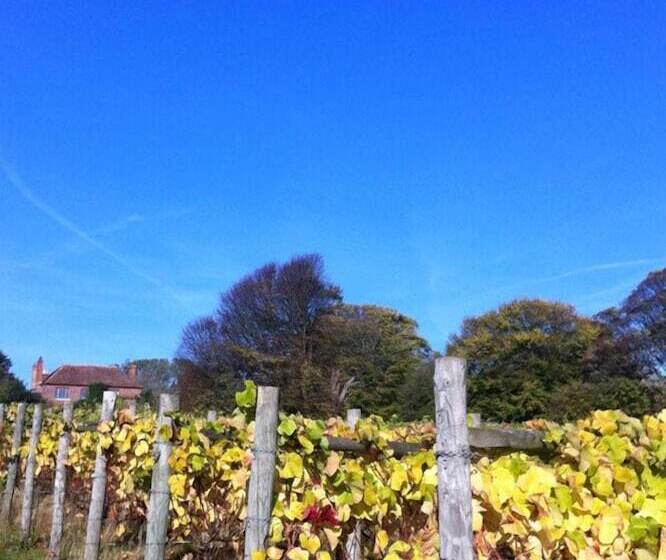 민박 Terlingham Lane Cottage
