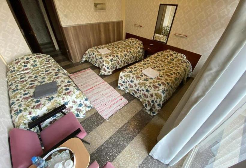 Отель Altun Tabya Vintage