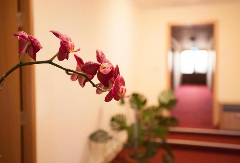 ホテル Cazare Fan