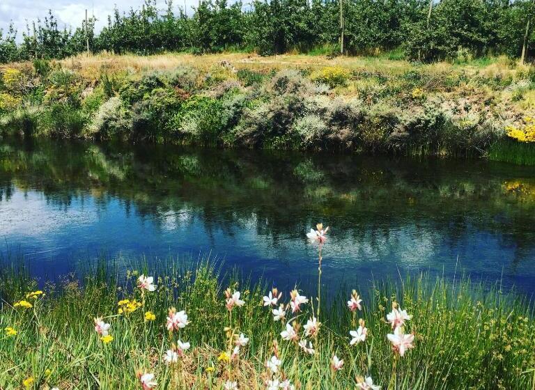 فندق Cheverells Farm