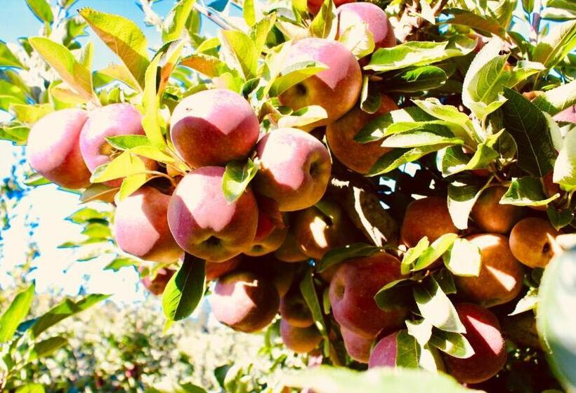 فندق Cheverells Farm