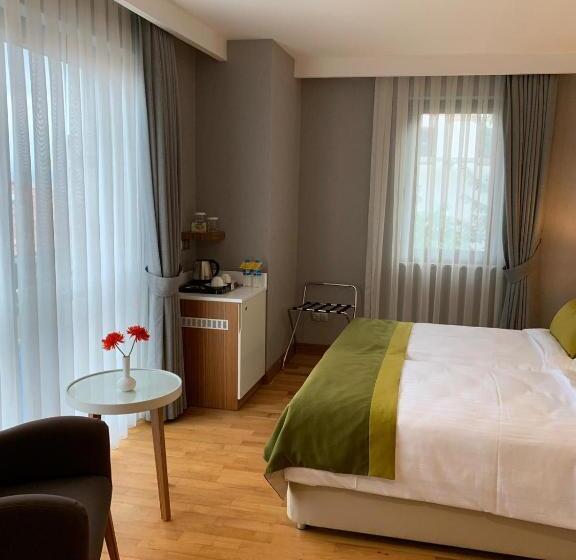 בית מלון כפרי Evimiz