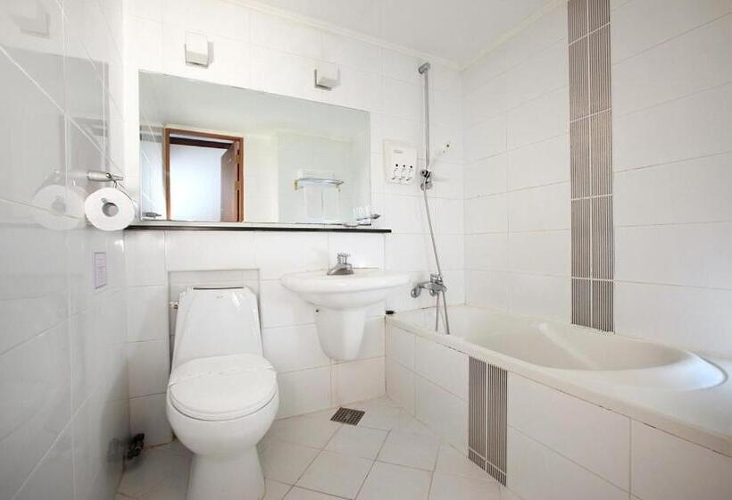 Incheon Airporthotel Airstay