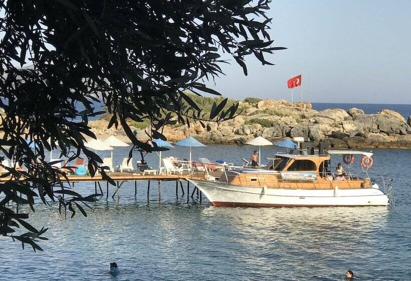 فندق Marvel Tree