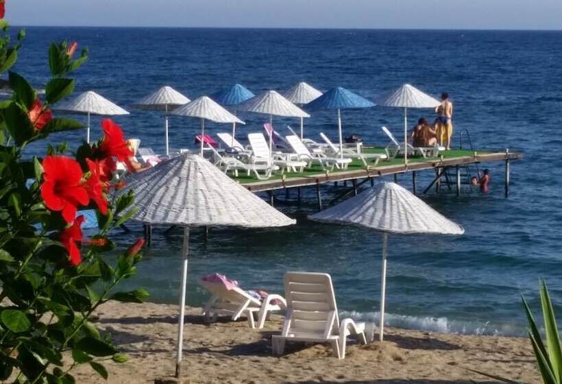 فندق Marvel Tree