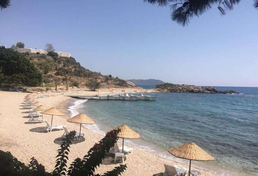 Отель Marvel Tree