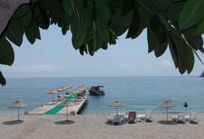 فندق Marvel Tree