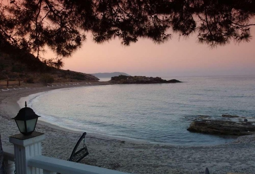 Отель Marvel Tree