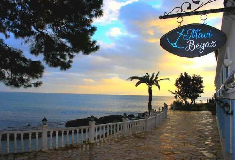 Отель Marvel Tree