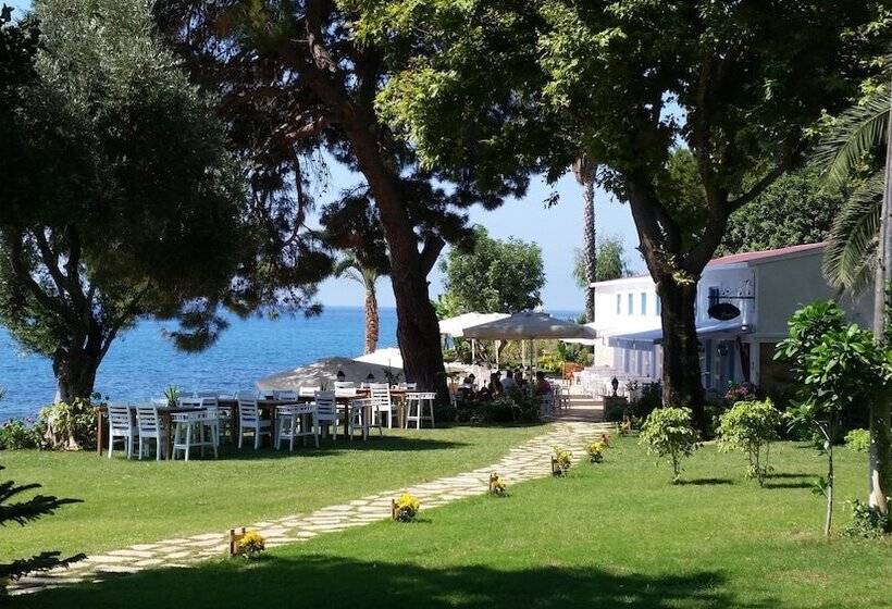 فندق Marvel Tree