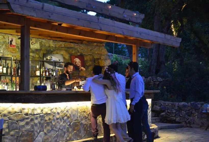 Отель Marvel Tree