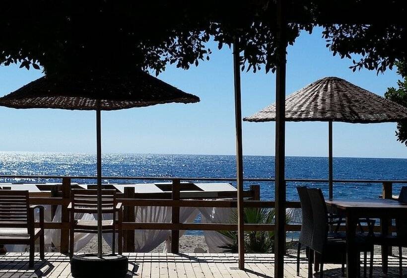 Отель Marvel Tree