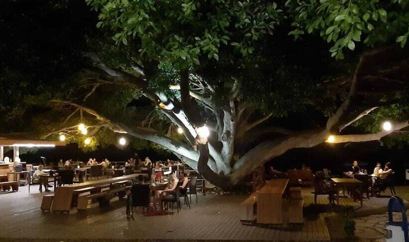 فندق Marvel Tree