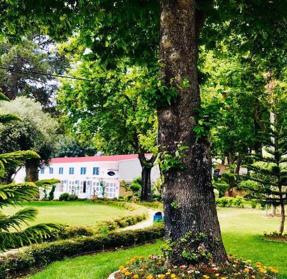 فندق Marvel Tree