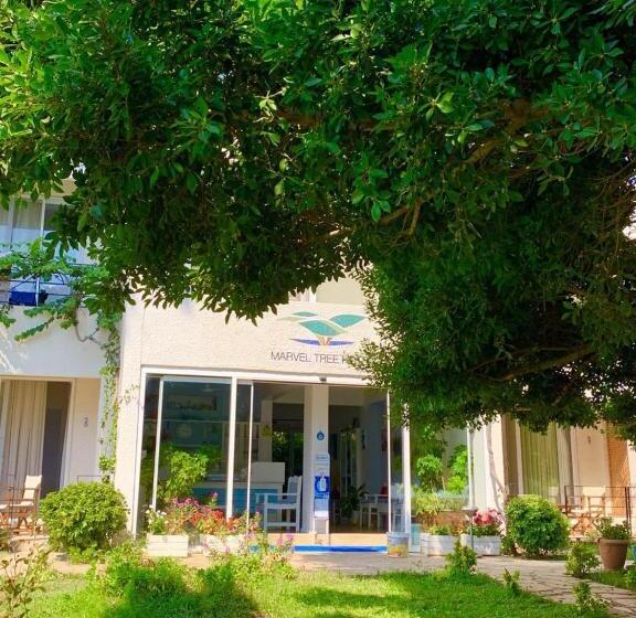 فندق Marvel Tree