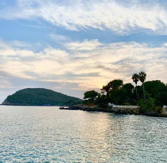 Отель Marvel Tree