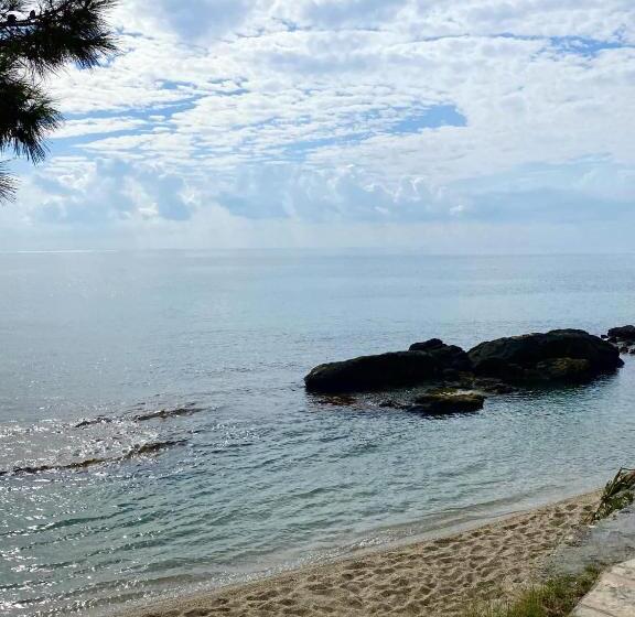 فندق Marvel Tree