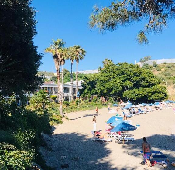 فندق Marvel Tree