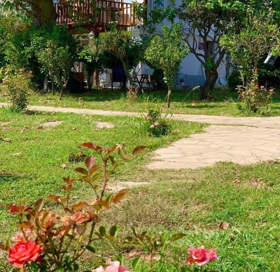 Отель Marvel Tree