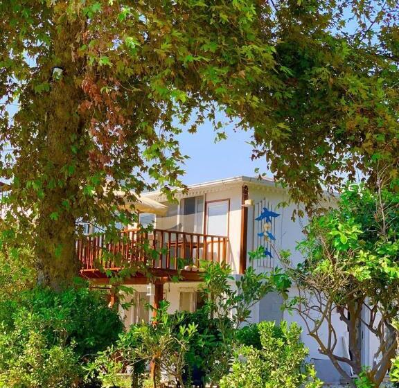 فندق Marvel Tree