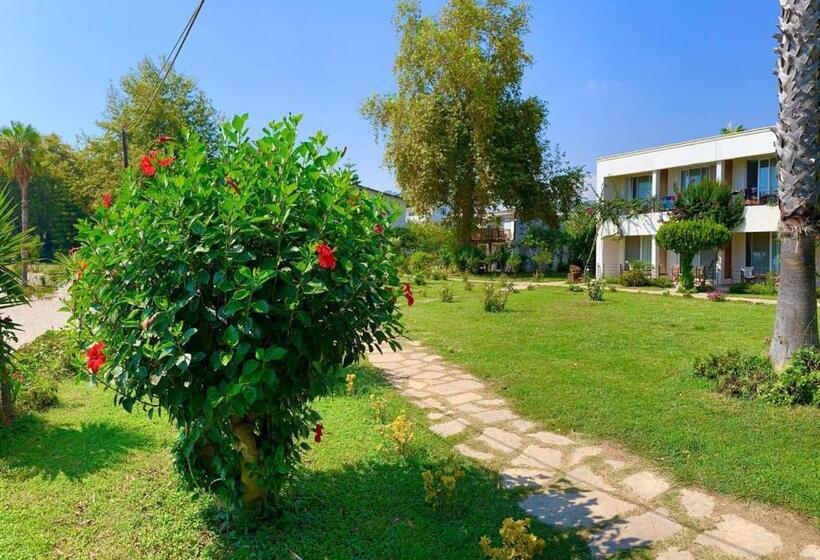 فندق Marvel Tree