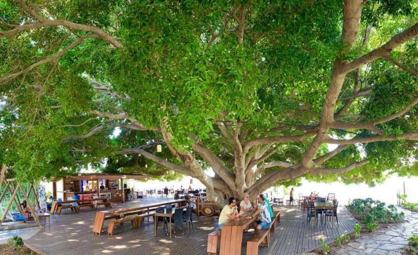 فندق Marvel Tree