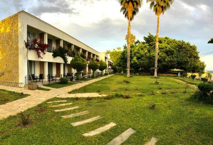 فندق Marvel Tree