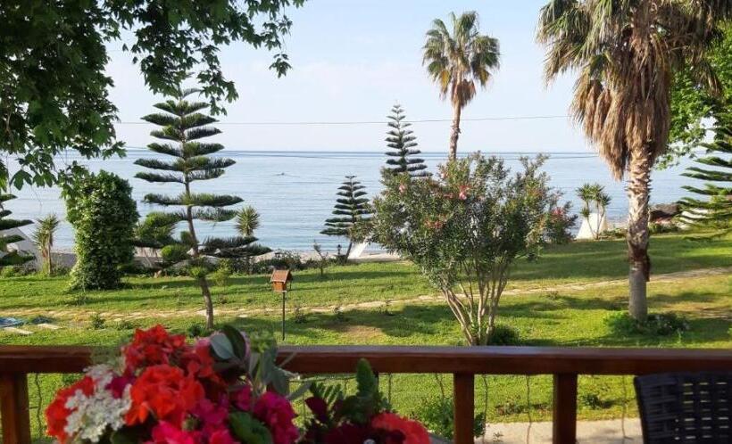 فندق Marvel Tree