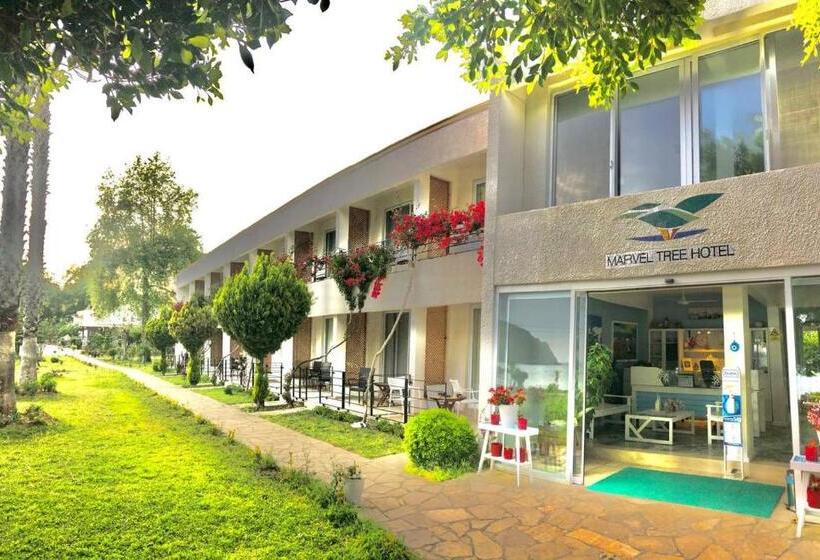 فندق Marvel Tree