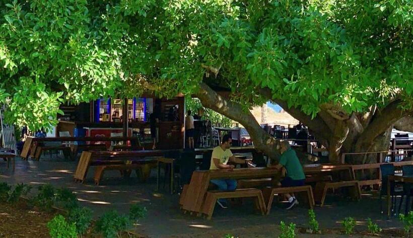 Отель Marvel Tree