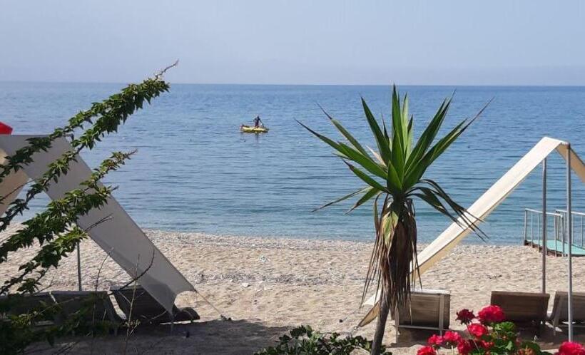 Отель Marvel Tree