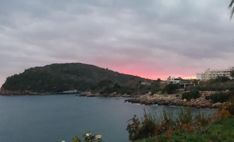 فندق Marvel Tree