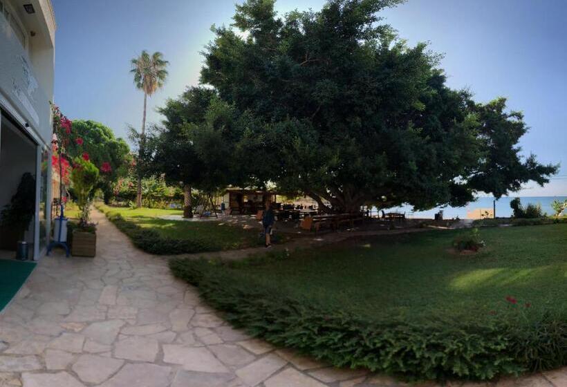 فندق Marvel Tree