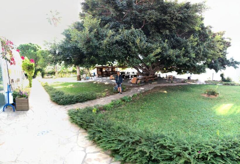 Отель Marvel Tree