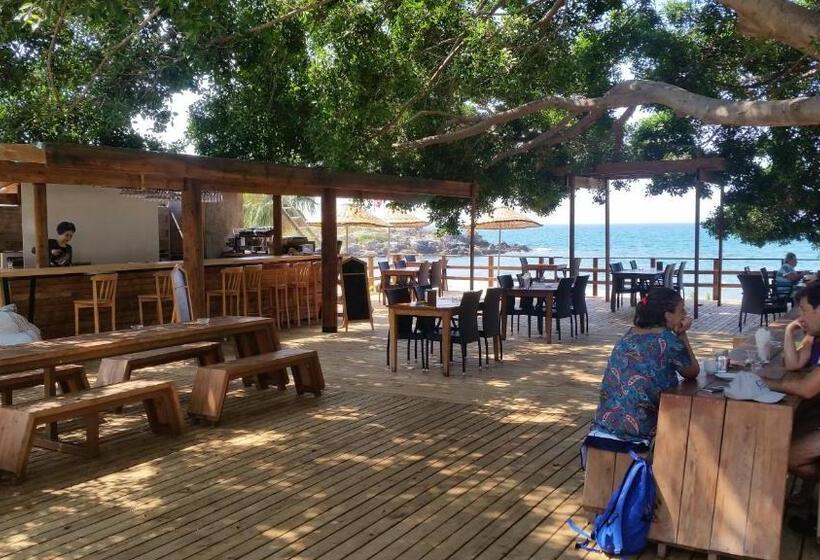 Отель Marvel Tree