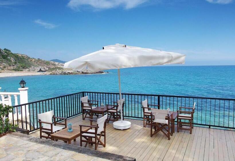 Отель Marvel Tree