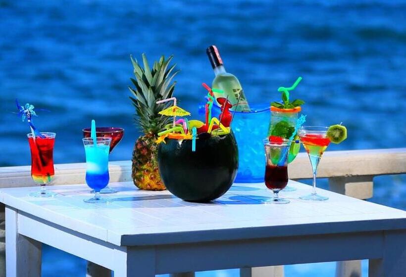 فندق Marvel Tree