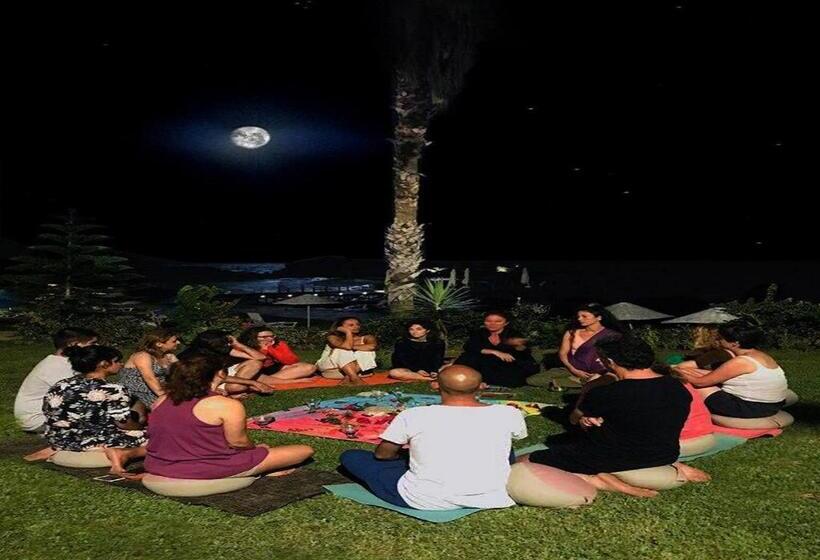 فندق Marvel Tree