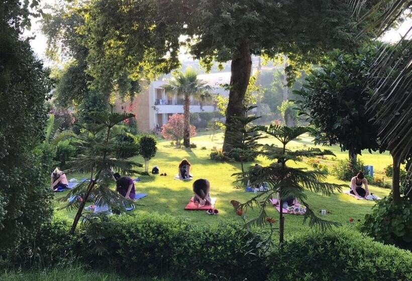 فندق Marvel Tree