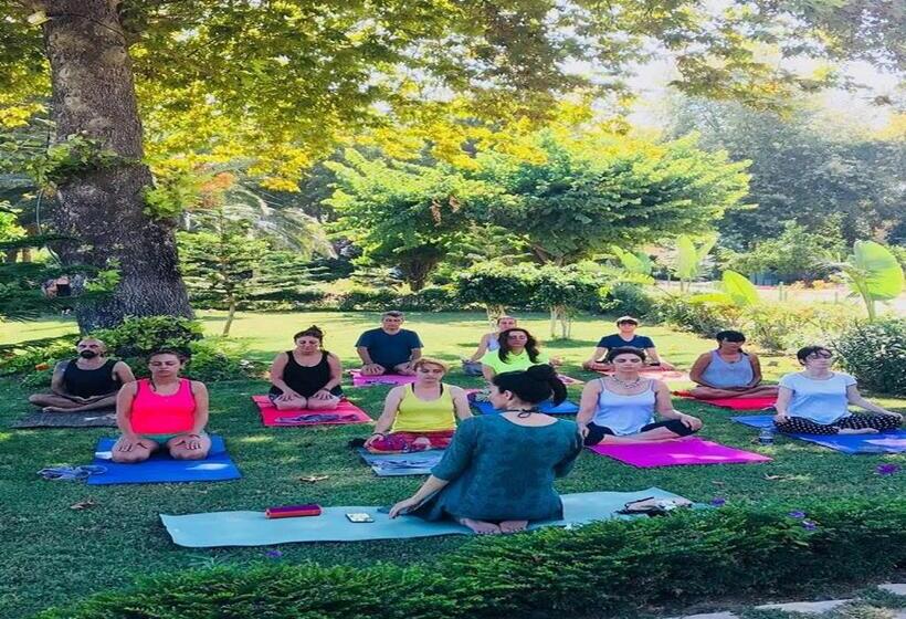 Отель Marvel Tree