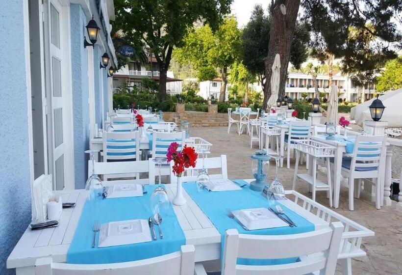 Отель Marvel Tree