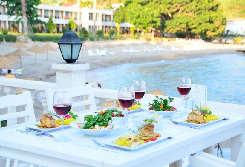 فندق Marvel Tree