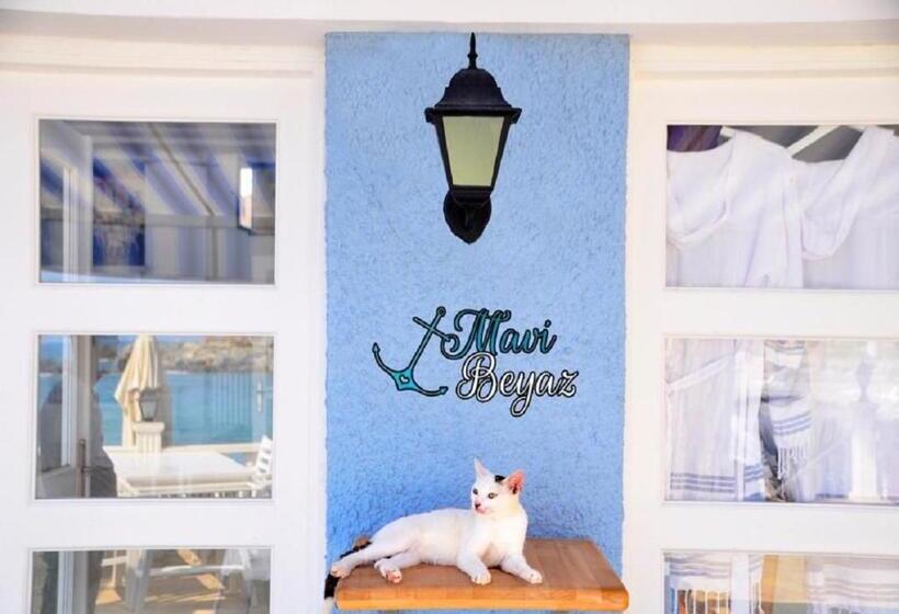 Отель Marvel Tree