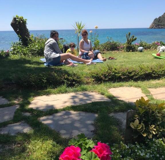 فندق Marvel Tree