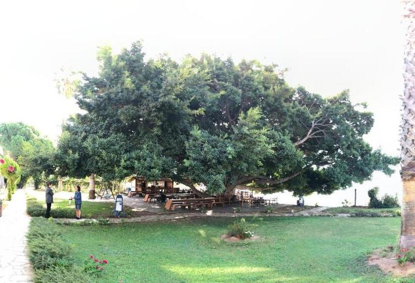 فندق Marvel Tree