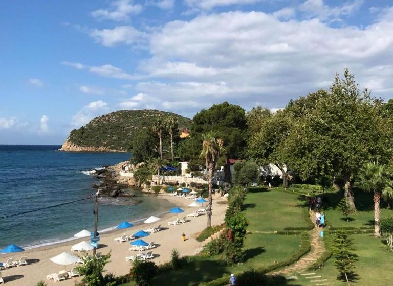 Отель Marvel Tree