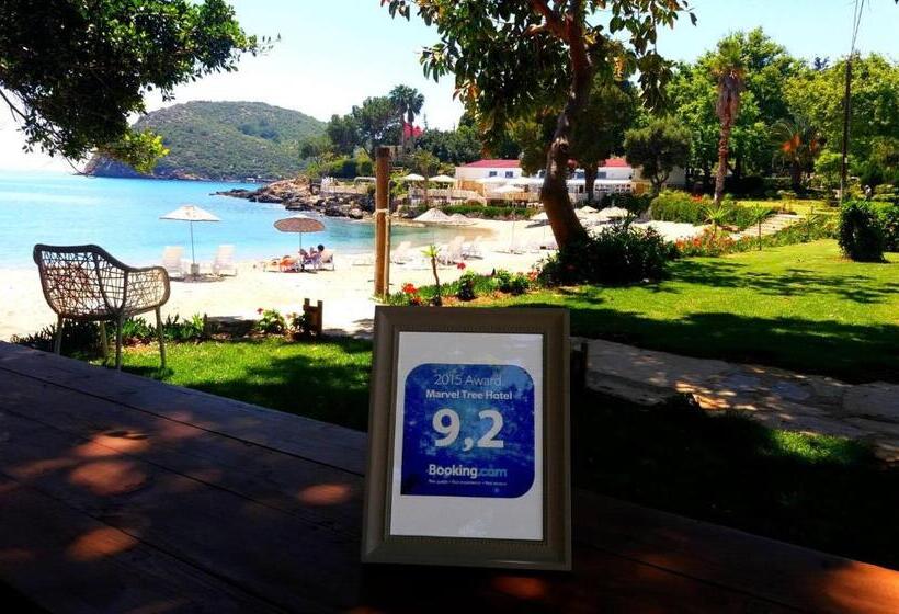 Отель Marvel Tree