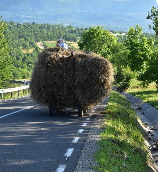 בית מלון כפרי Pensiunea Maramu