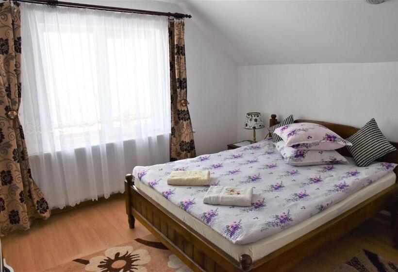 בית מלון כפרי Pensiunea Maramu