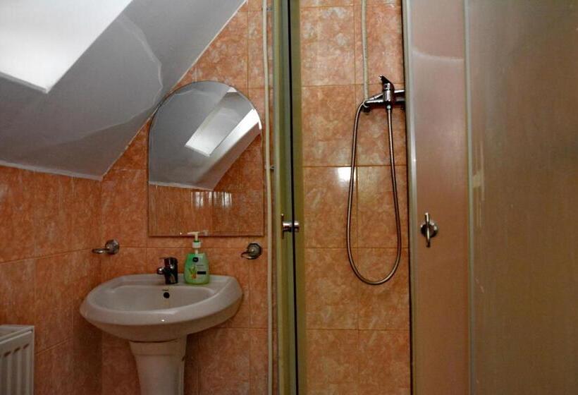 בית מלון כפרי Pensiunea Maramu